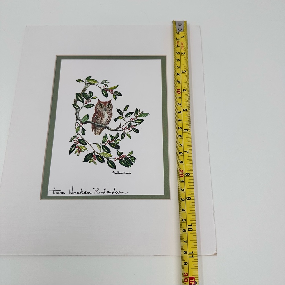 Anne Worsham Richardson Screech Owl and Saw Whet Owl
Signed Prints - Picture 16 of 16